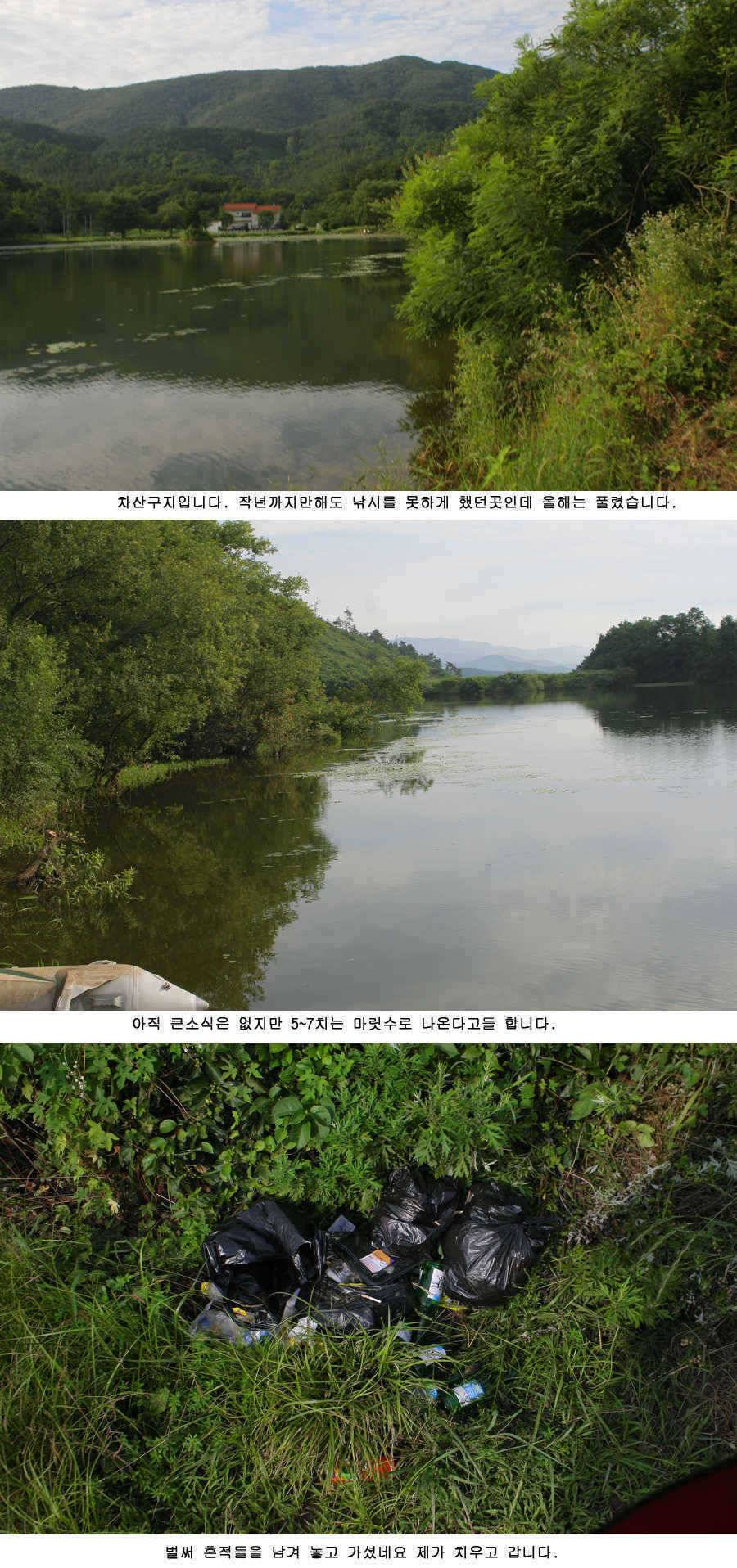 청도권 주중 조황정보 (조황조행기 - 특파원조황)