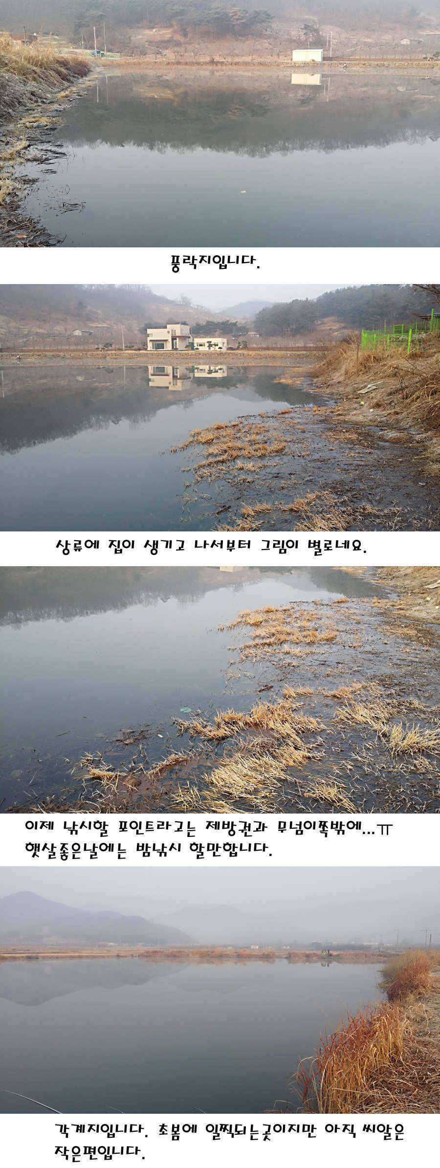 청도권 주중 조황정보 (조황조행기 - 특파원조황)
