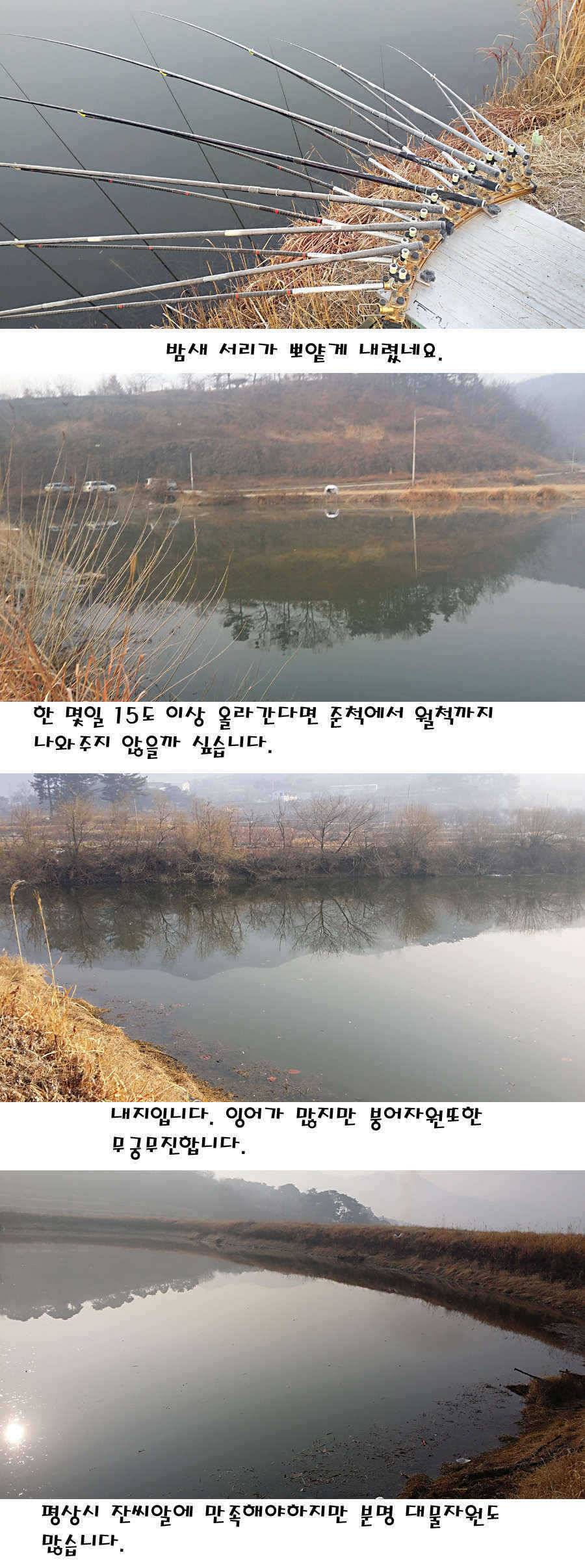 청도권 주중 조황정보 (조황조행기 - 특파원조황)