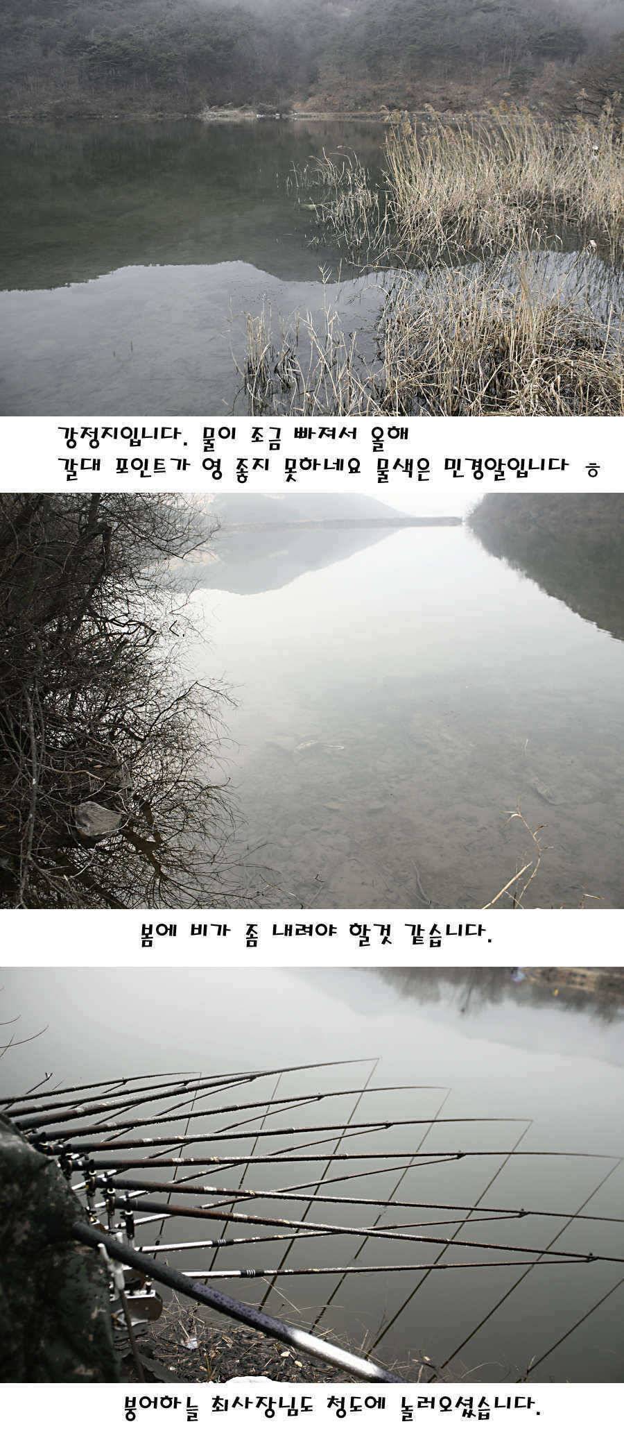 청도권 주중 조황정보 (조황조행기 - 특파원조황)