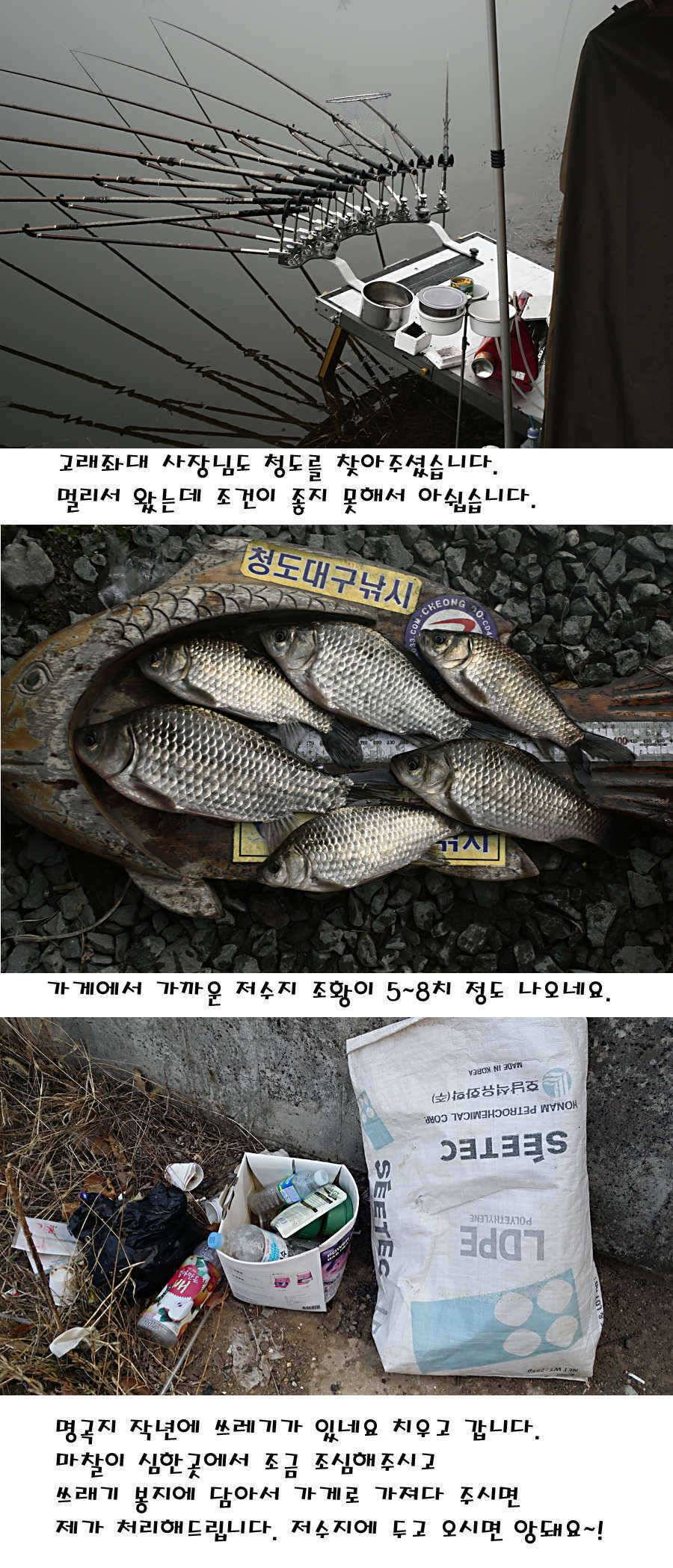 청도권 주중 조황정보 (조황조행기 - 특파원조황)