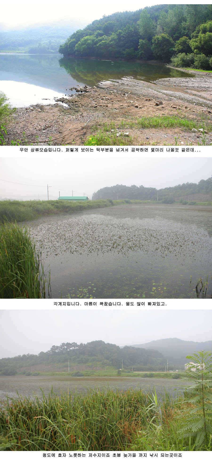 청도권 주중 조황정보 (조황조행기 - 특파원조황)