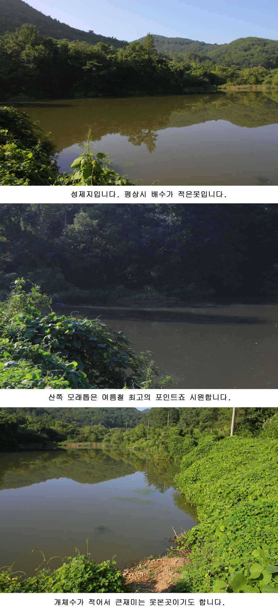청도권 지난주중 주말 조황 (조황조행기 - 특파원조황)