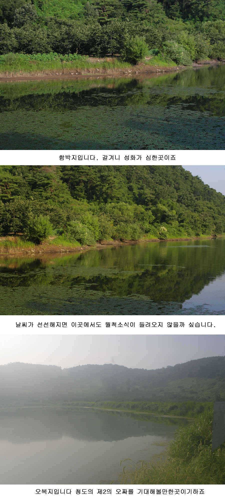 청도권 지난주중 주말 조황 (조황조행기 - 특파원조황)