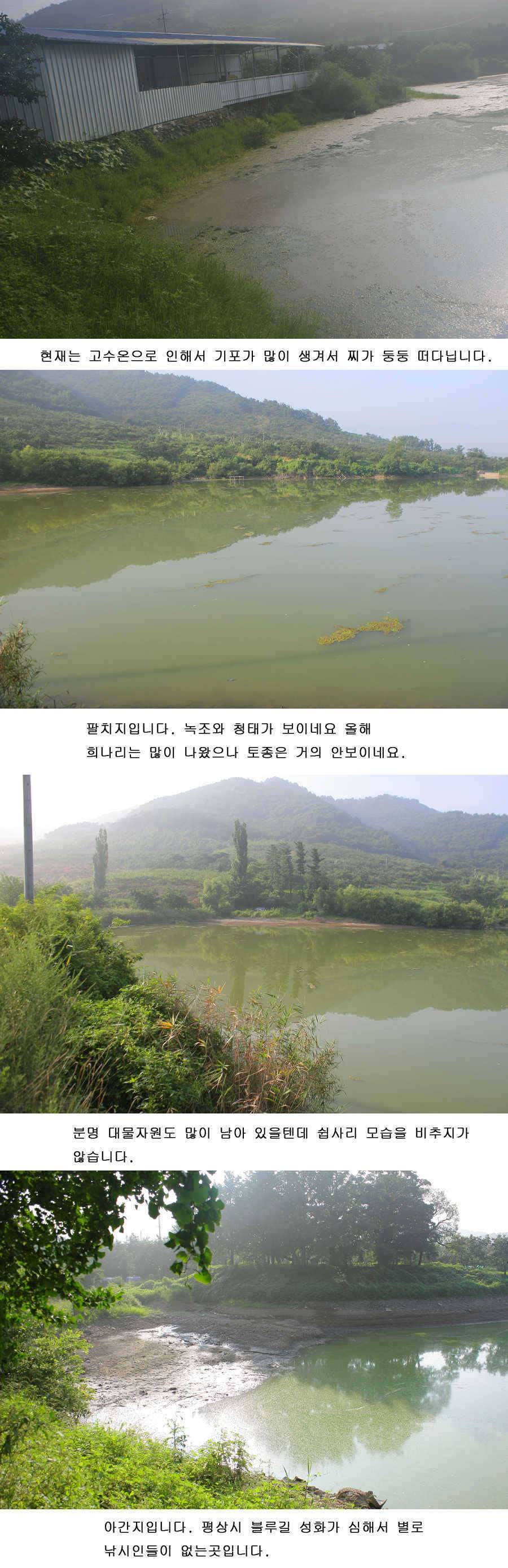 청도권 지난주중 주말 조황 (조황조행기 - 특파원조황)