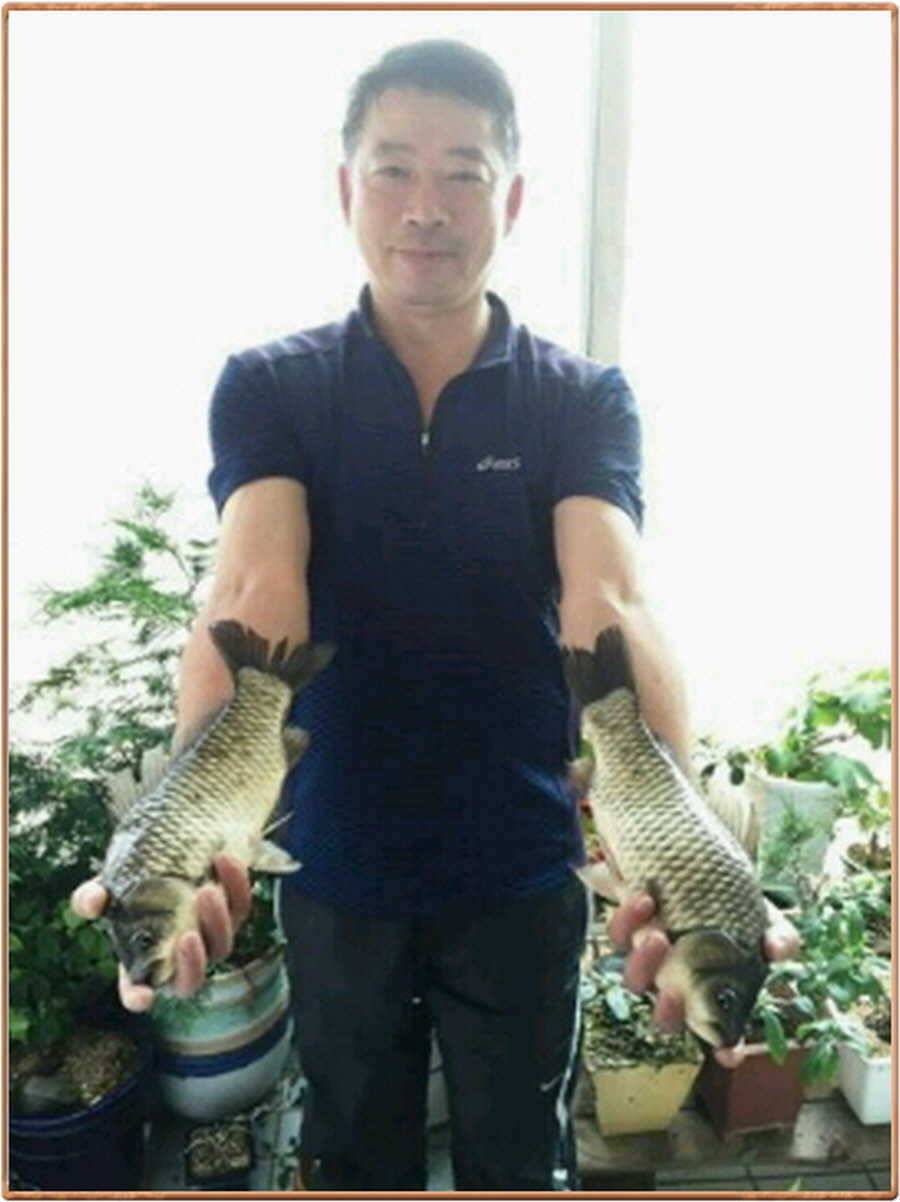진위천 조황 소식 (조황조행기 - 특파원조황)
