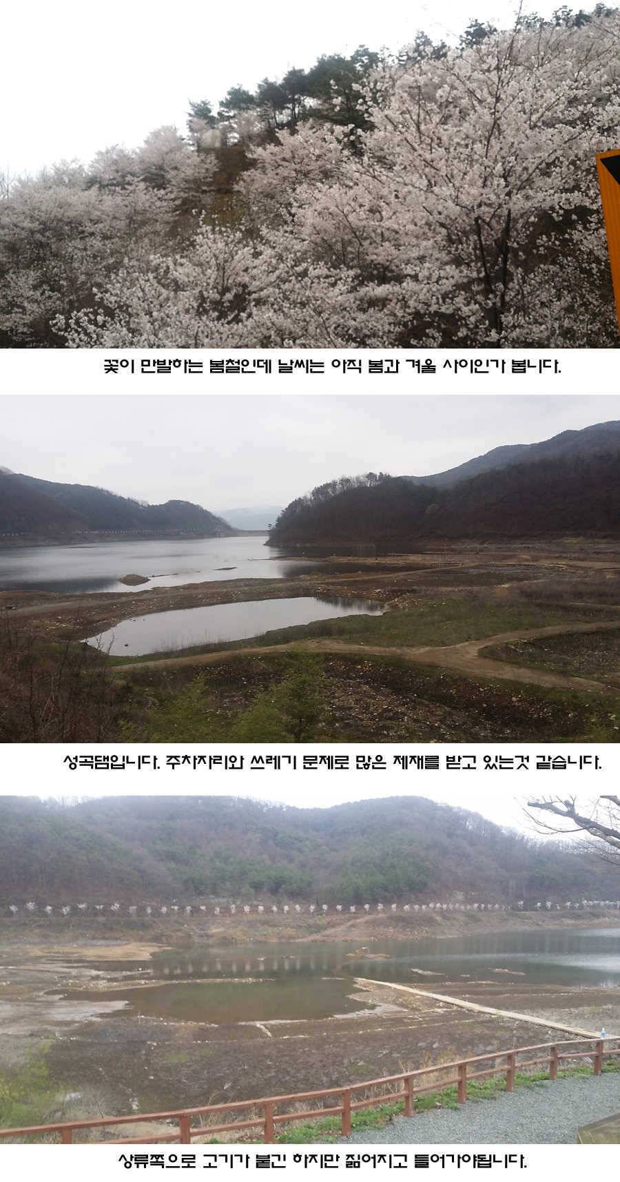 청도권 지난주 조황입니다 (조황조행기 - 특파원조황)
