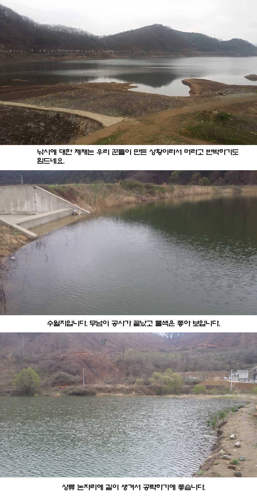 청도권 지난주 조황입니다 (조황조행기 - 특파원조황)
