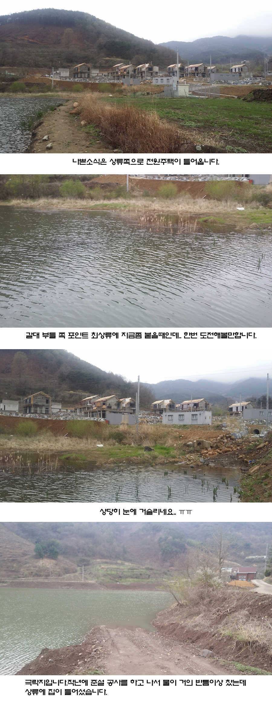 청도권 지난주 조황입니다 (조황조행기 - 특파원조황)