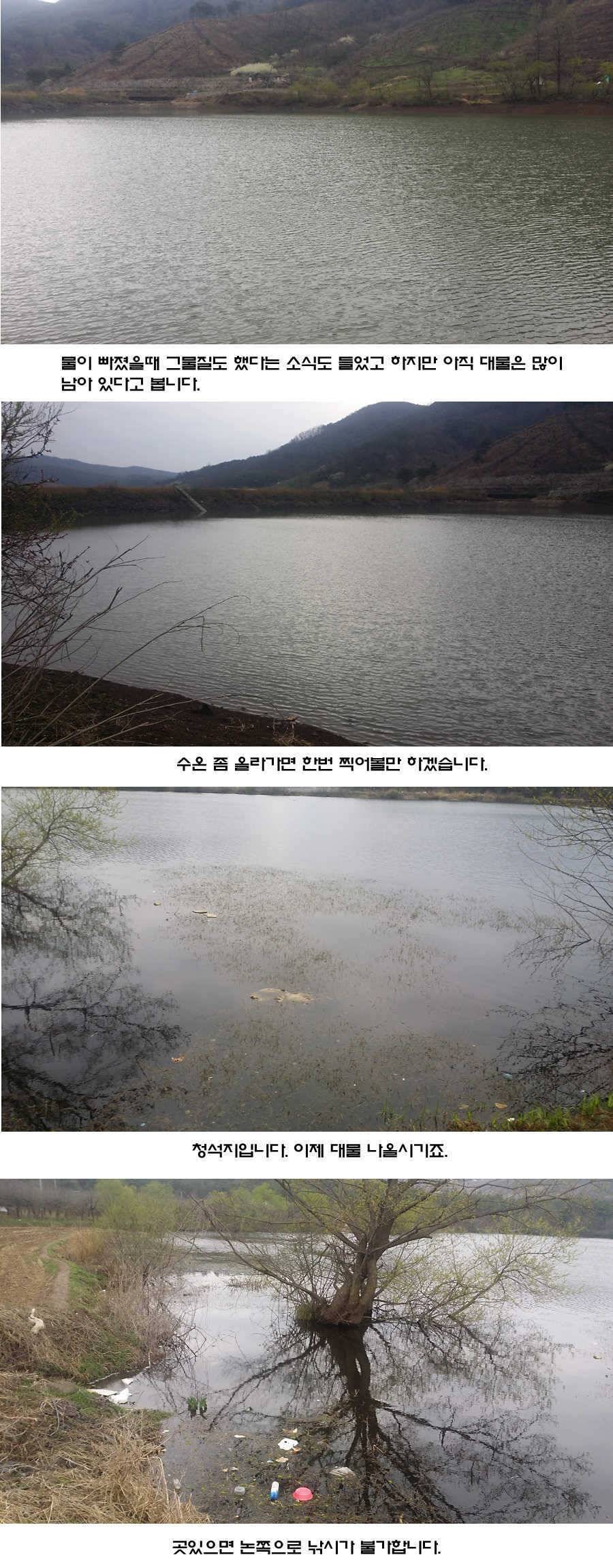 청도권 지난주 조황입니다 (조황조행기 - 특파원조황)