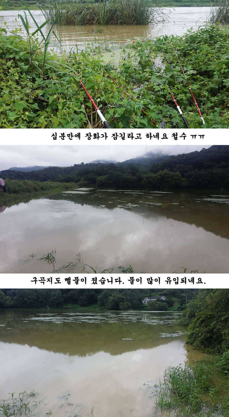 청도권 청도천 빵빵 터집니다 (조황조행기 - 특파원조황)