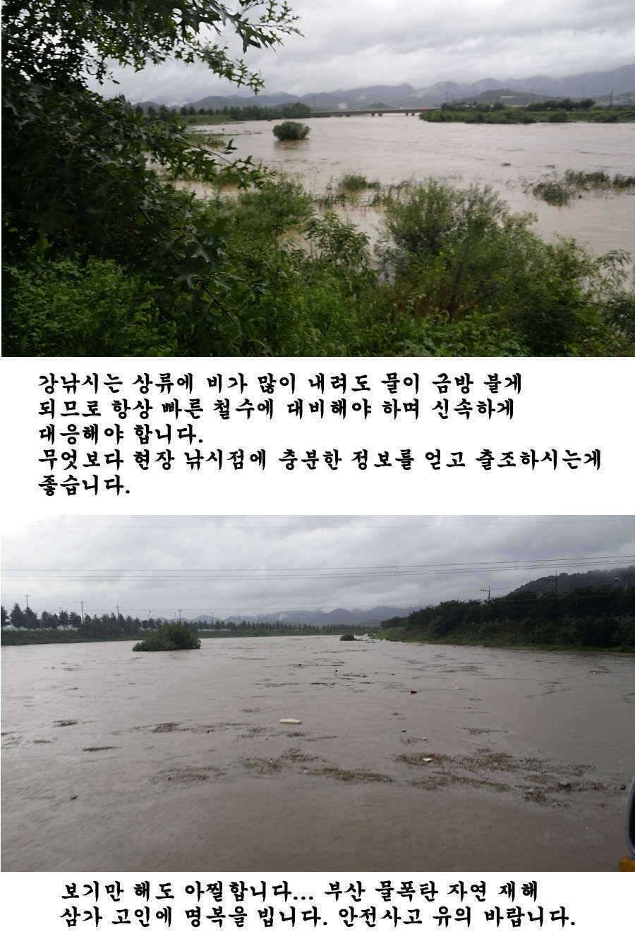 청도권 청도천 빵빵 터집니다 (조황조행기 - 특파원조황)