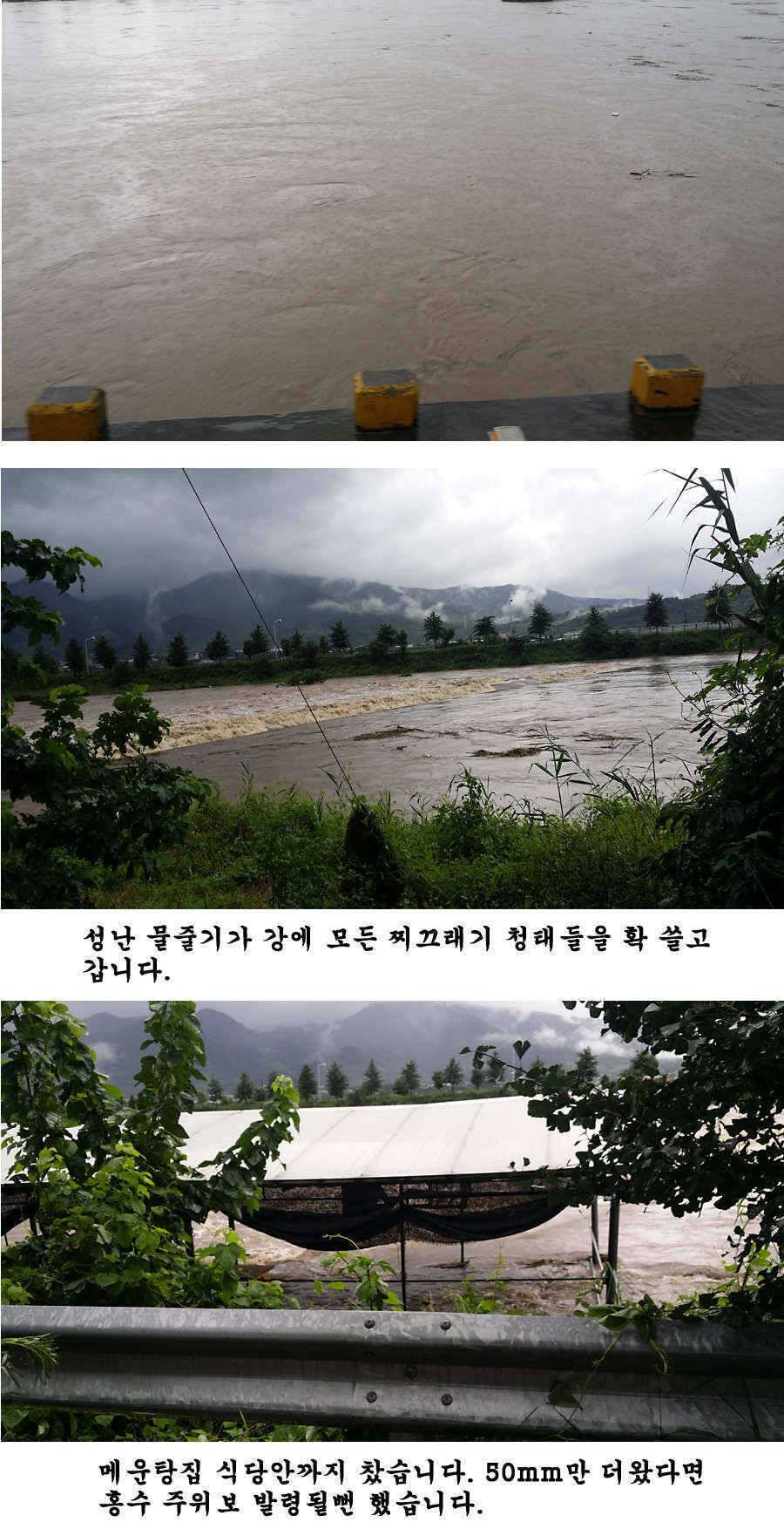청도권 청도천 빵빵 터집니다 (조황조행기 - 특파원조황)
