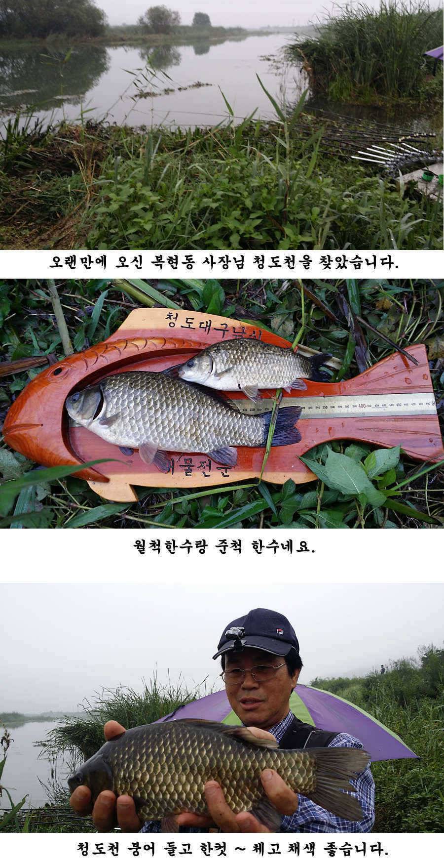 청도권 청도천 빵빵 터집니다 (조황조행기 - 특파원조황)