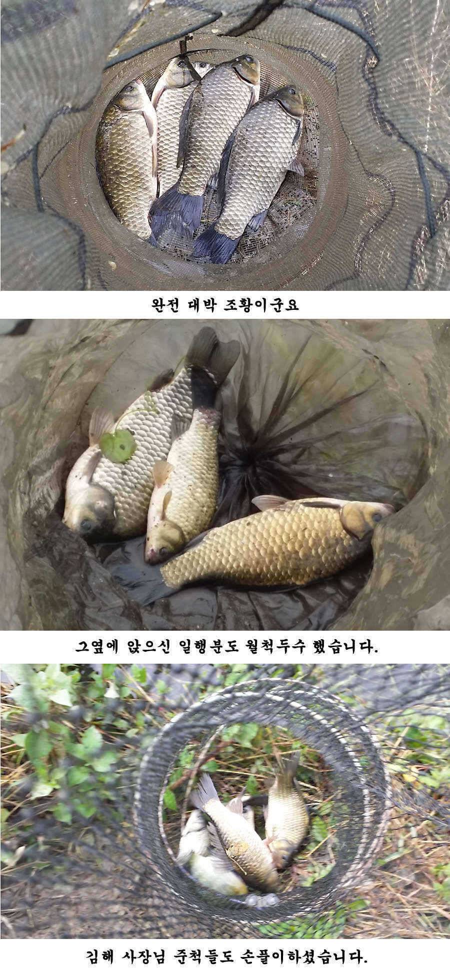 청도권 청도천 빵빵 터집니다 (조황조행기 - 특파원조황)