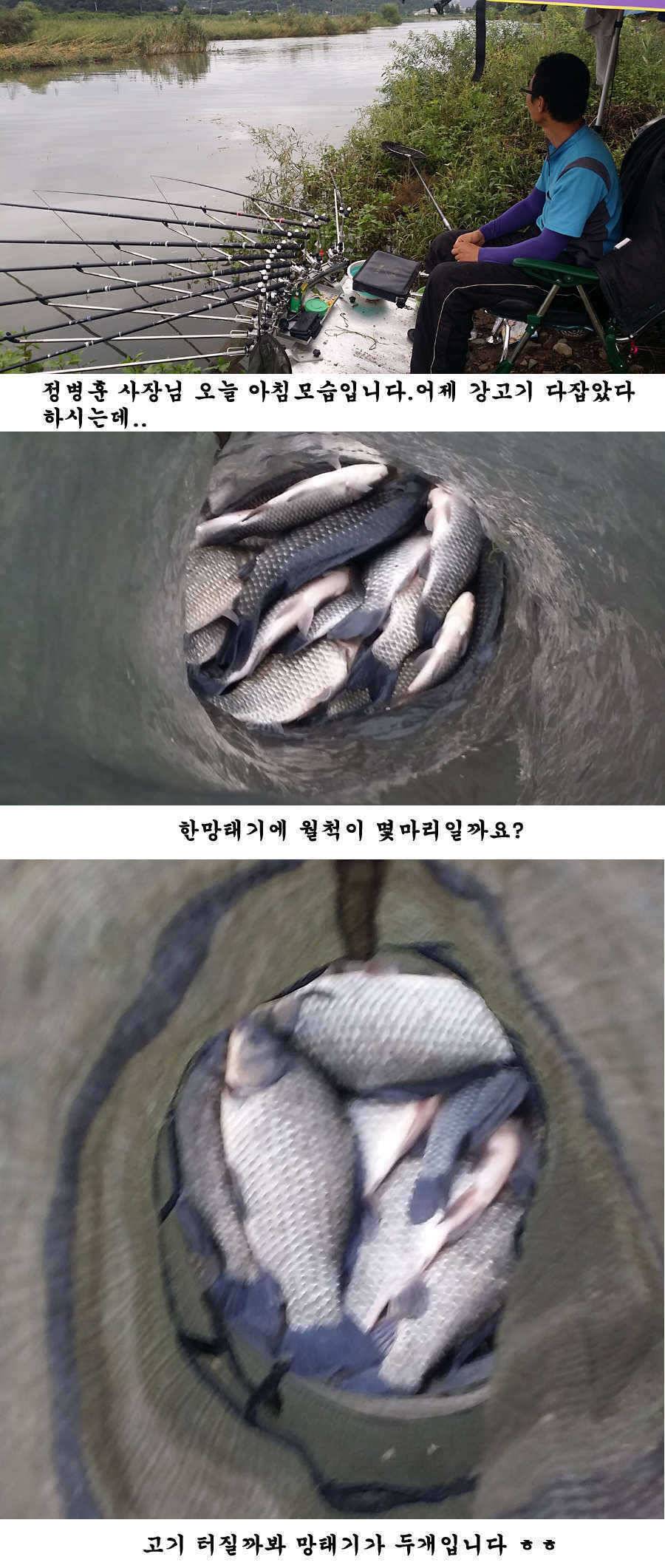 청도권 청도천 빵빵 터집니다 (조황조행기 - 특파원조황)