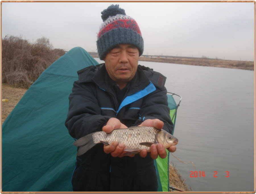 진위천 조황 소식 (조황조행기 - 특파원조황)