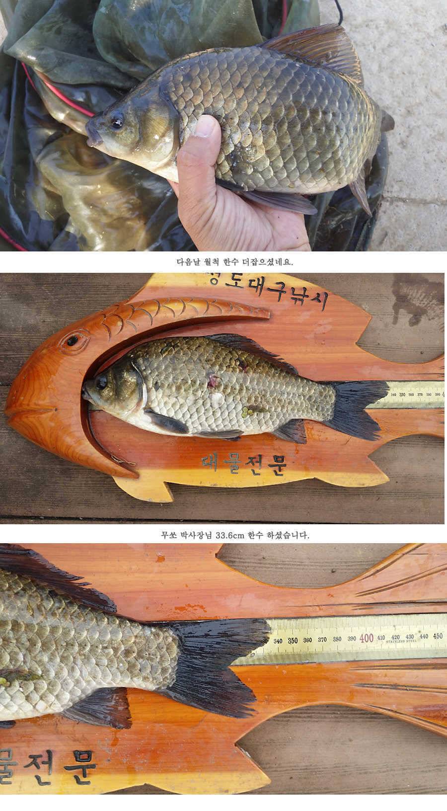 청도권 지난주 조황 배수중에도 대물들이 (조황조행기 - 특파원조황)