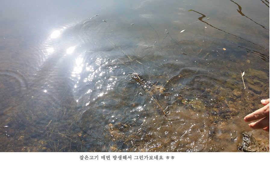 청도권 지난주 조황 배수중에도 대물들이 (조황조행기 - 특파원조황)