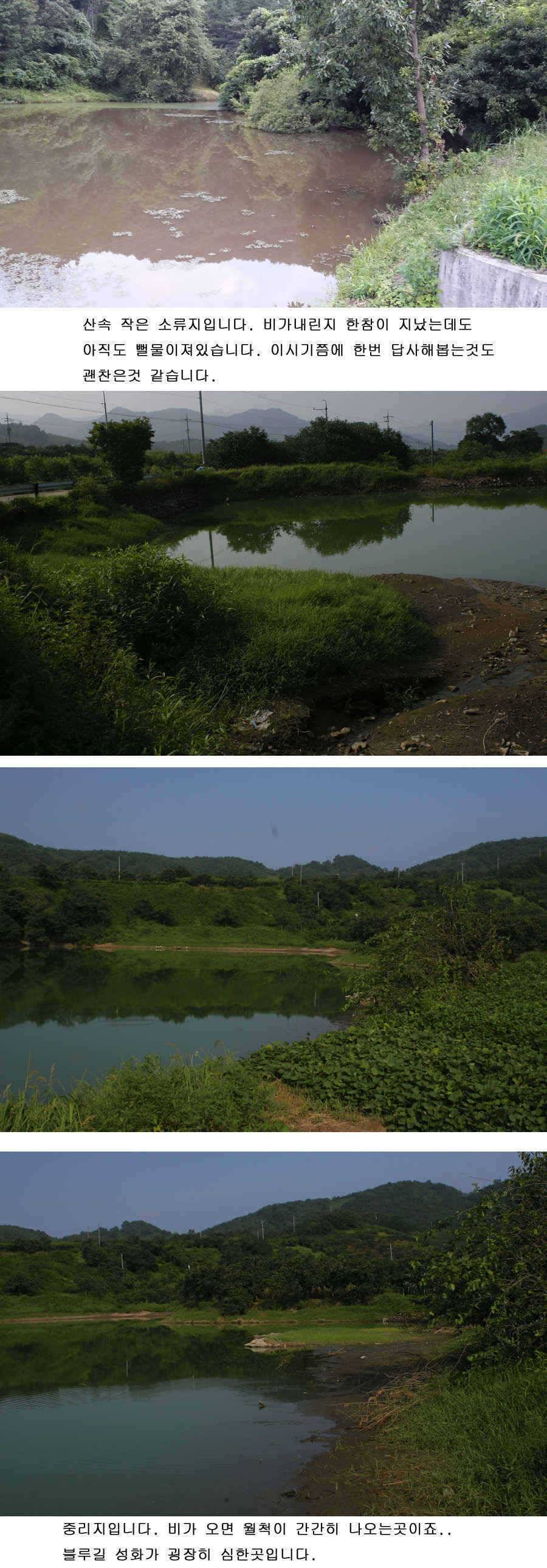 청도권 가을시즌이 열리고 있습니다 (조황조행기 - 특파원조황)