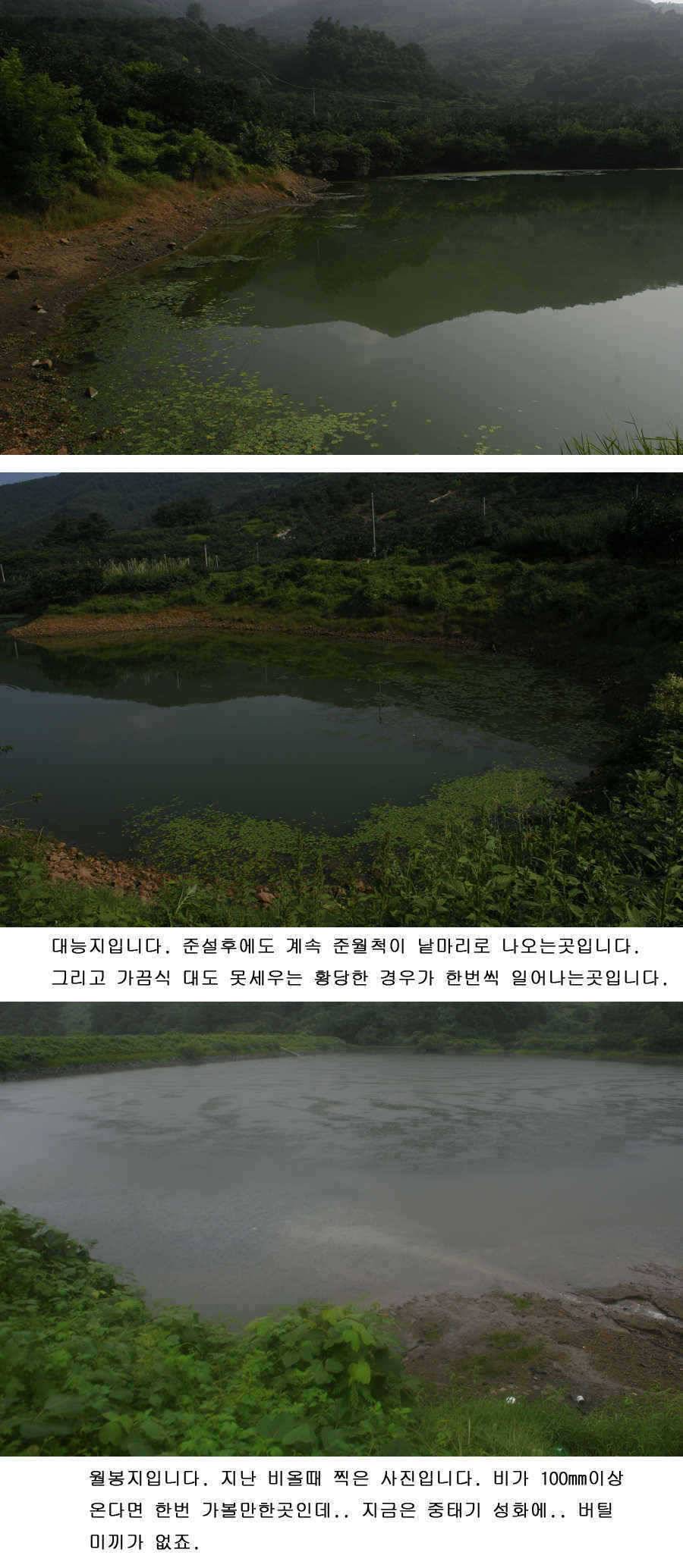 청도권 가을시즌이 열리고 있습니다 (조황조행기 - 특파원조황)