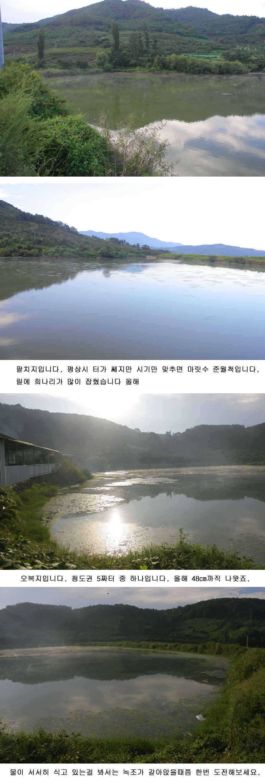 청도권 가을시즌이 열리고 있습니다 (조황조행기 - 특파원조황)