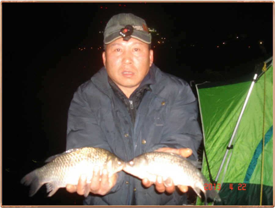 진위천 조황소식 (조황조행기 - 특파원조황)