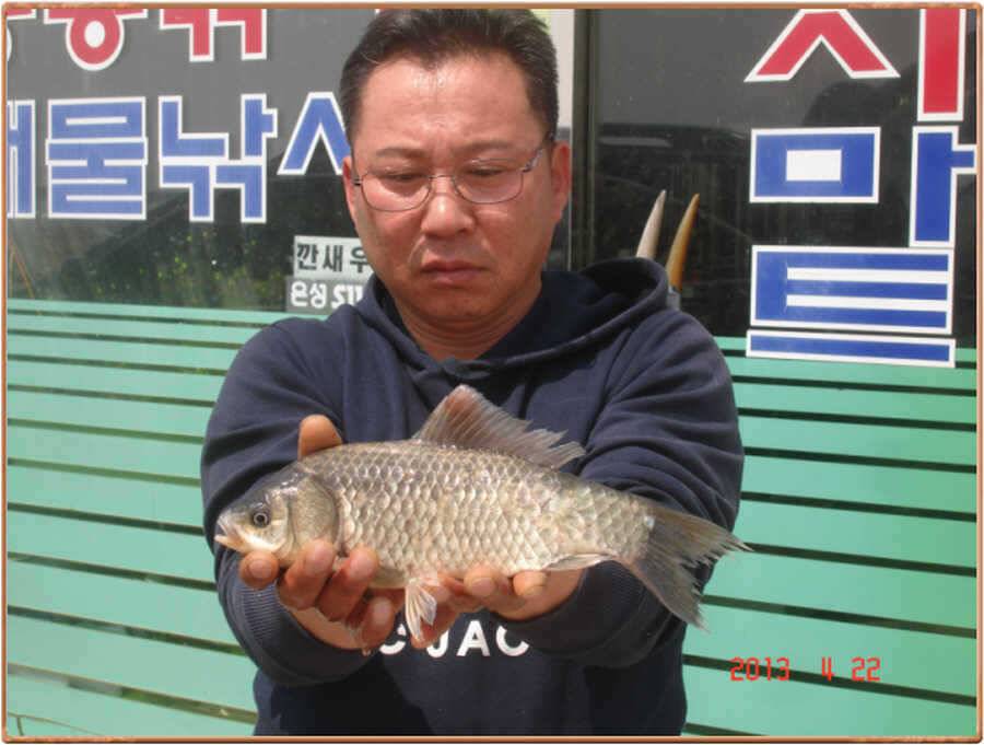 진위천 조황소식 (조황조행기 - 특파원조황)