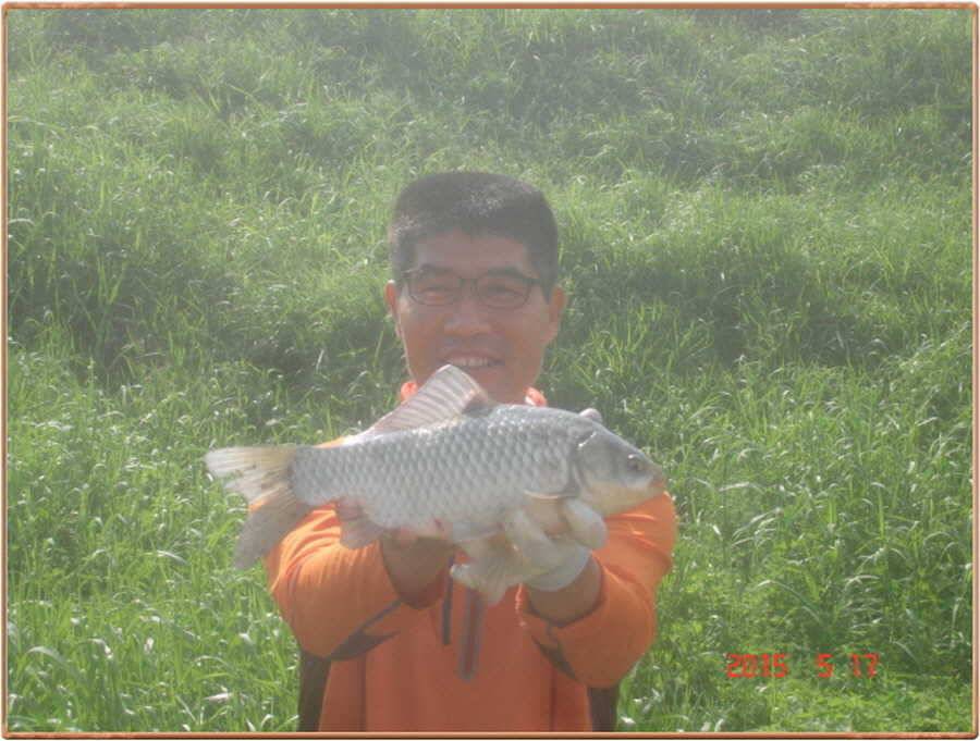진위천 주말 조황 입니다 (조황조행기 - 특파원조황)
