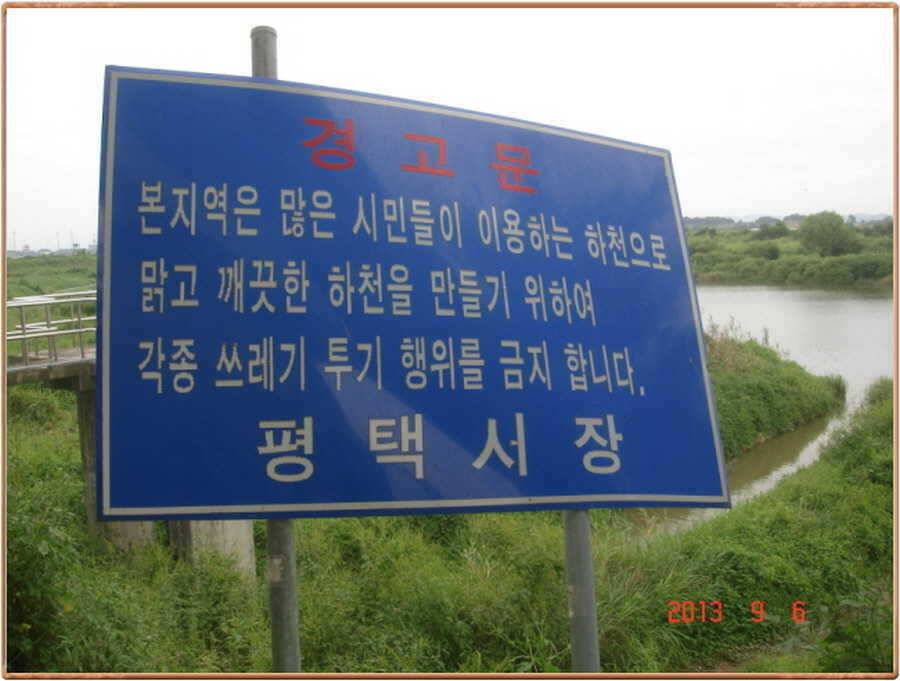 진위천 조황 소식 (조황조행기 - 특파원조황)