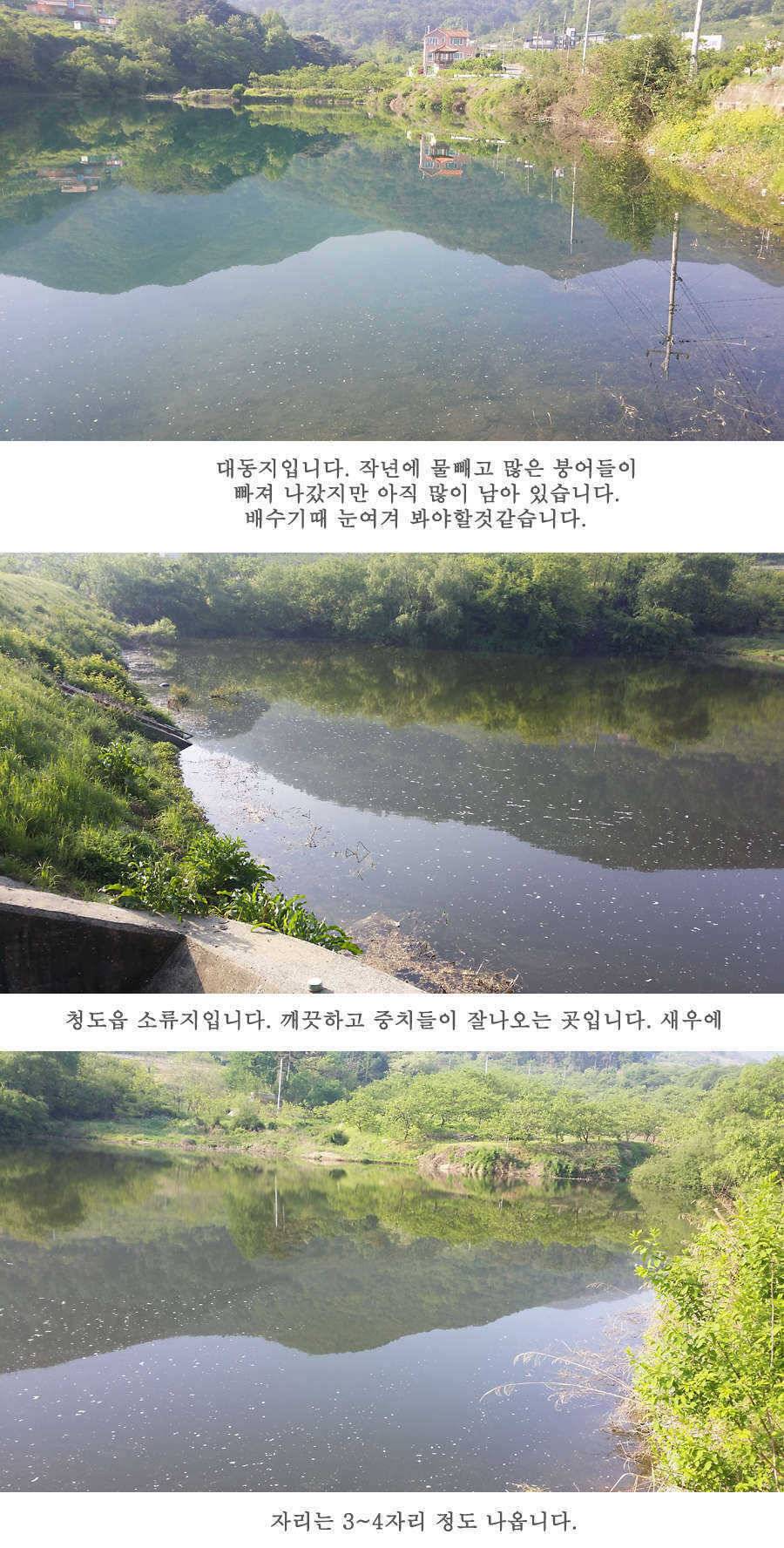 지난주 청도권 45cm (조황조행기 - 특파원조황)