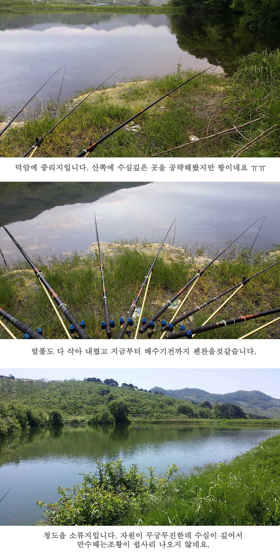 지난주 청도권 45cm (조황조행기 - 특파원조황)