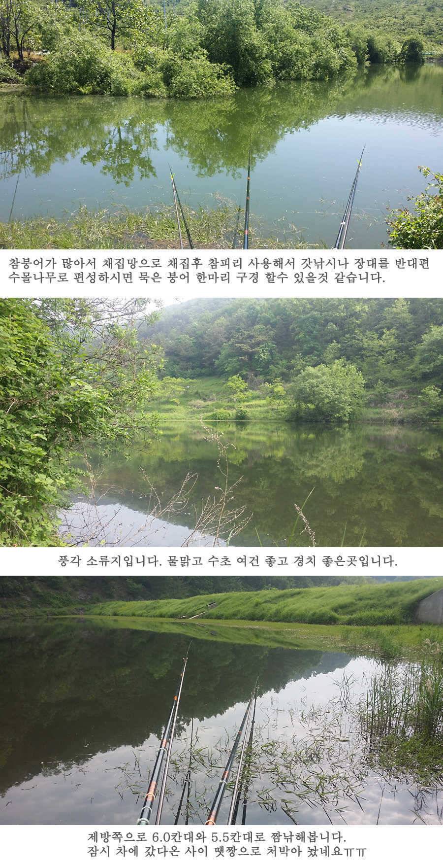 지난주 청도권 45cm (조황조행기 - 특파원조황)