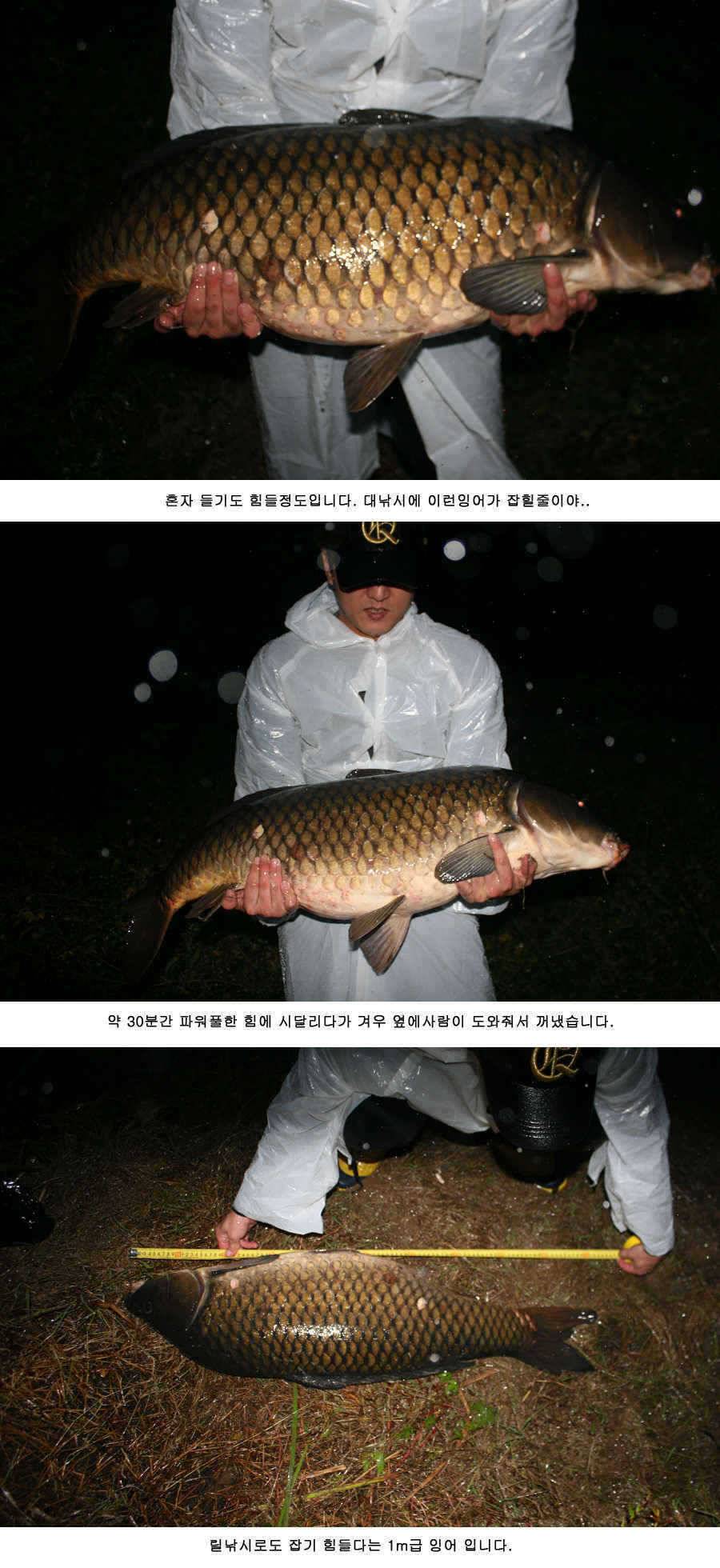 청도권 붕어40cm 잉어 1m대구리도 (조황조행기 - 특파원조황)