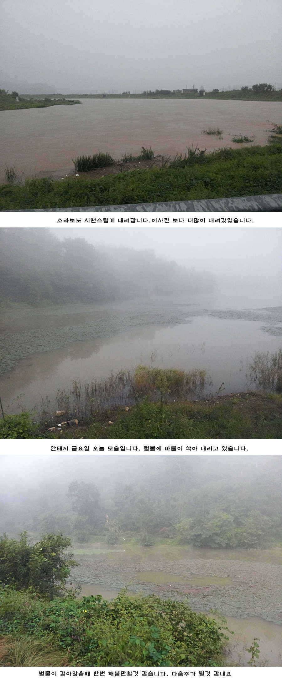 청도권 청도천 빵빵 터집니다 (조황조행기 - 특파원조황)