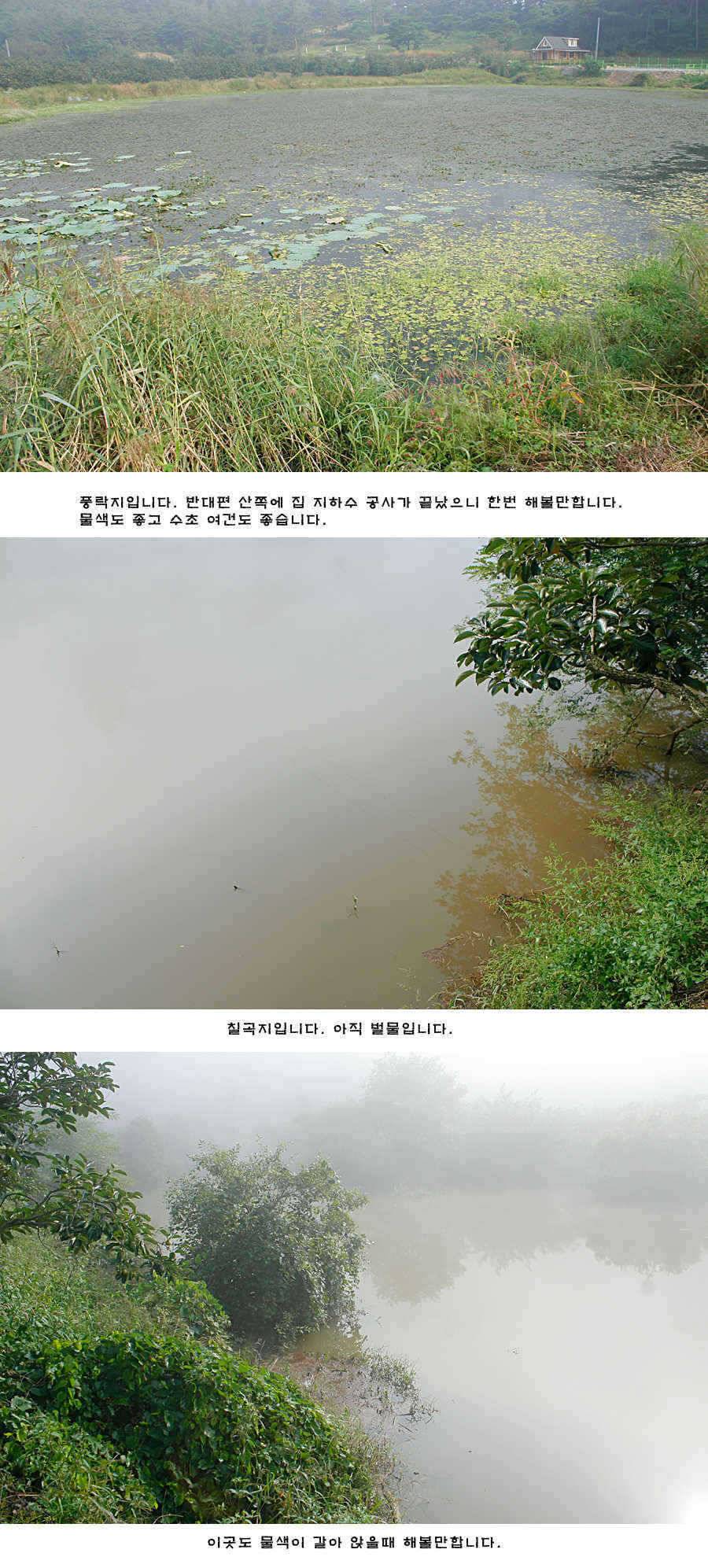 청도권 청도천 빵빵 터집니다 (조황조행기 - 특파원조황)