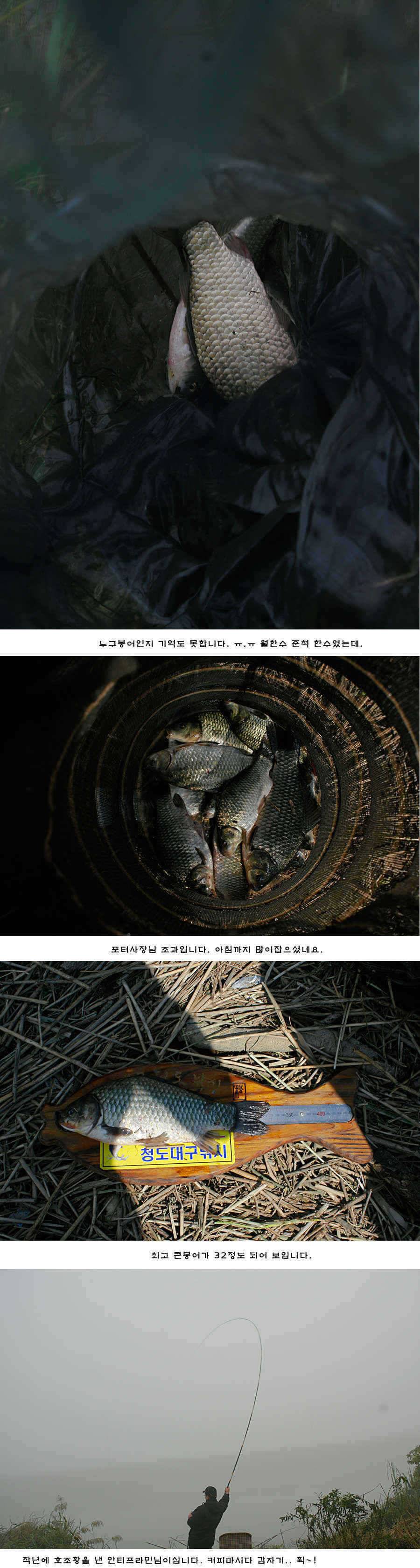 청도권 청도천 빵빵 터집니다 (조황조행기 - 특파원조황)