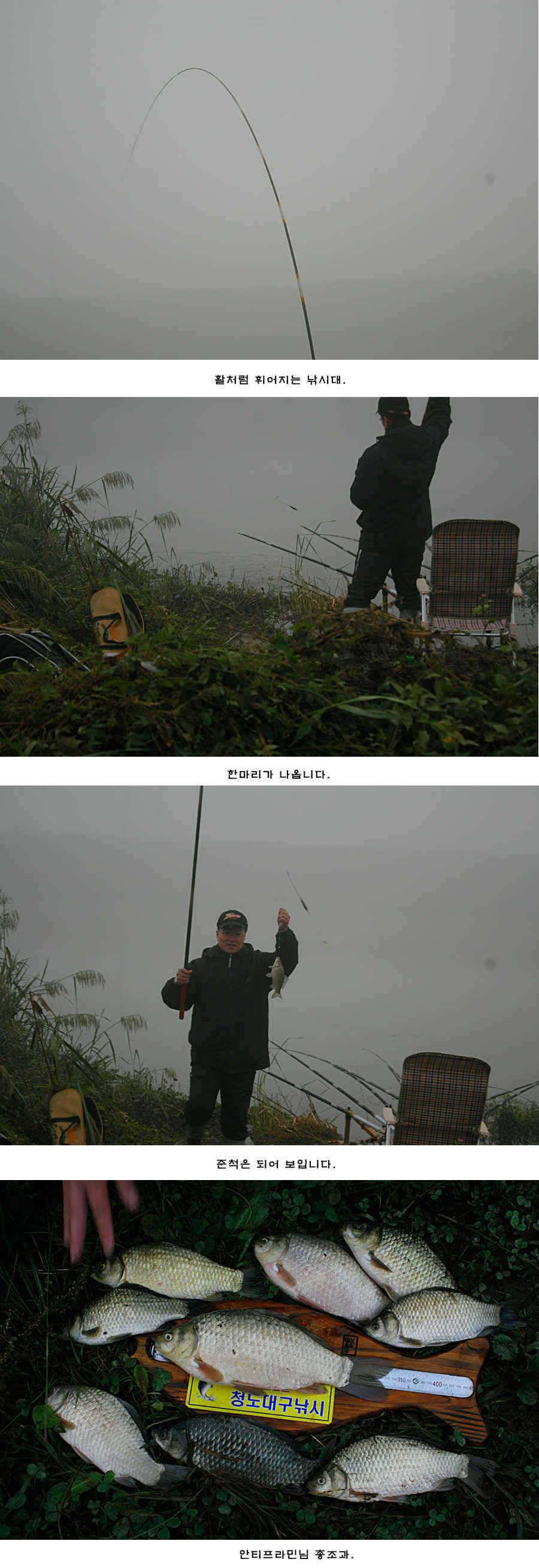 청도권 청도천 빵빵 터집니다 (조황조행기 - 특파원조황)