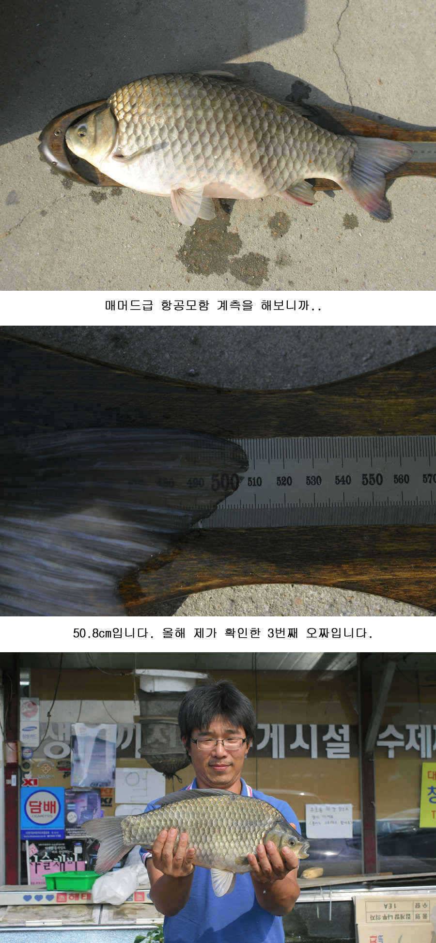 오짜 그리고 청도권 주말조황 (조황조행기 - 특파원조황)
