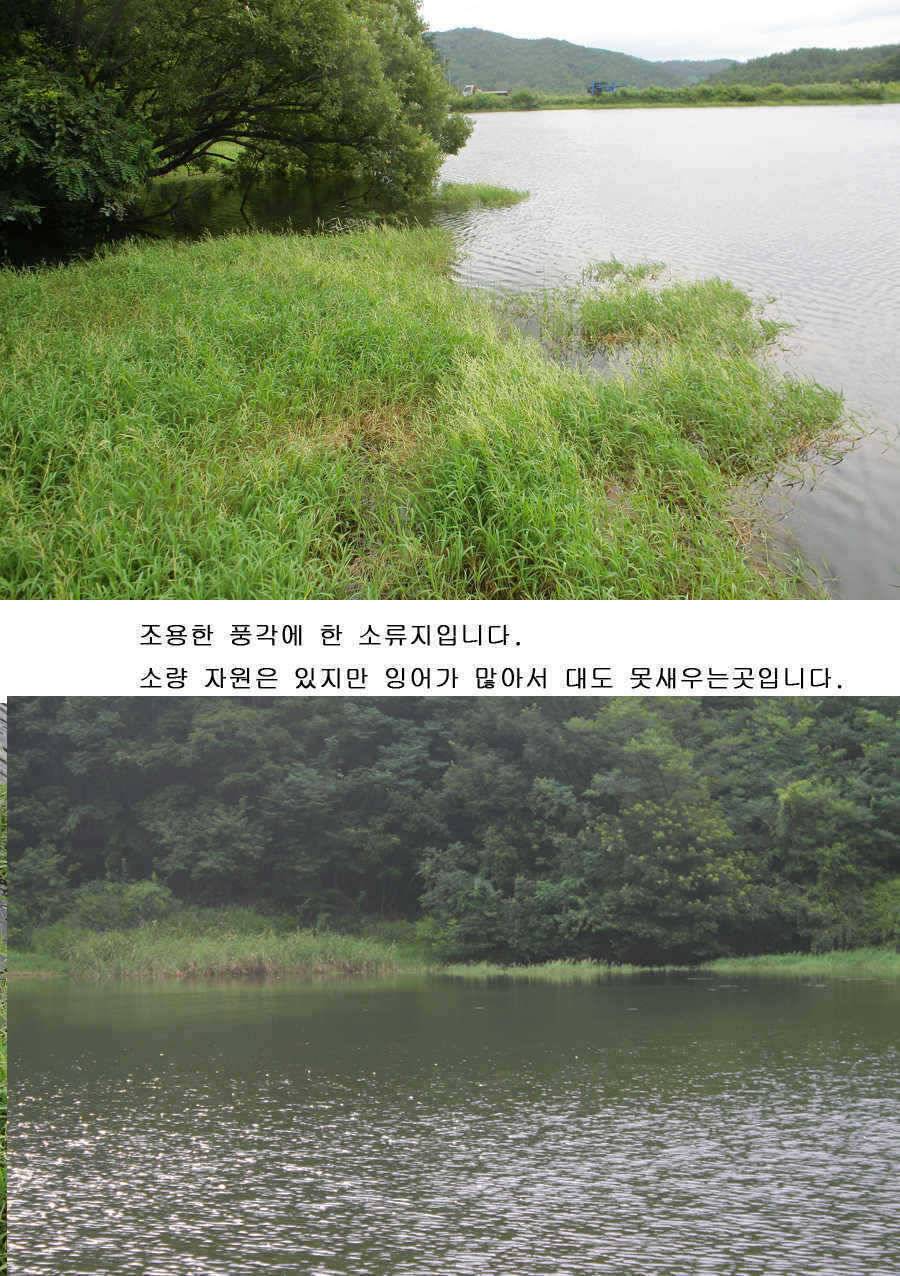 오짜 그리고 청도권 주말조황 (조황조행기 - 특파원조황)