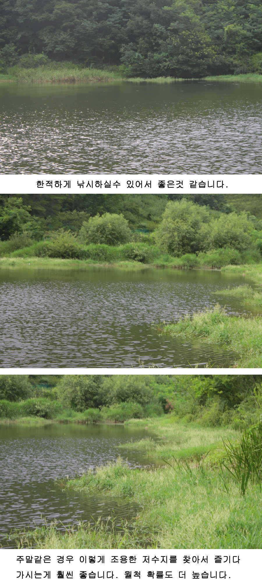 오짜 그리고 청도권 주말조황 (조황조행기 - 특파원조황)