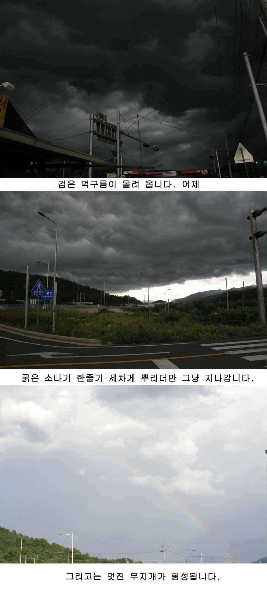 오짜 그리고 청도권 주말조황 (조황조행기 - 특파원조황)