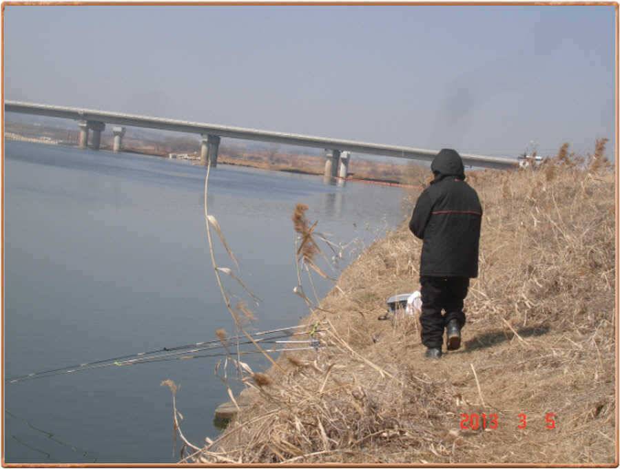 진위천 조황소식 (조황조행기 - 특파원조황)