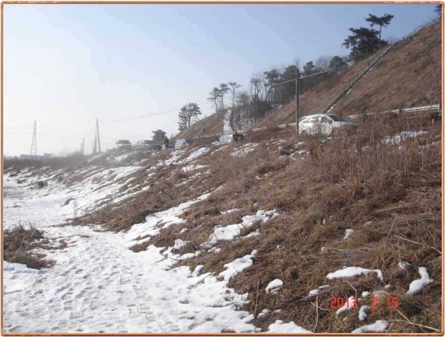 진위천 조황소식 (조황조행기 - 특파원조황)