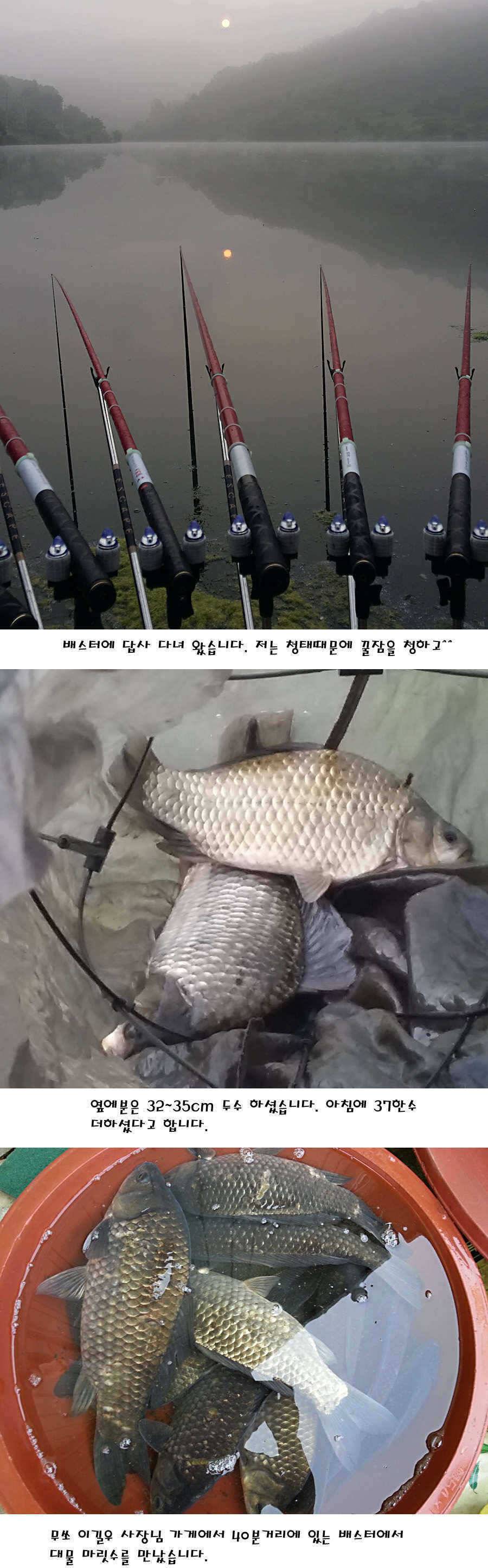 청도권 지난주 조황정보 (조황조행기 - 특파원조황)
