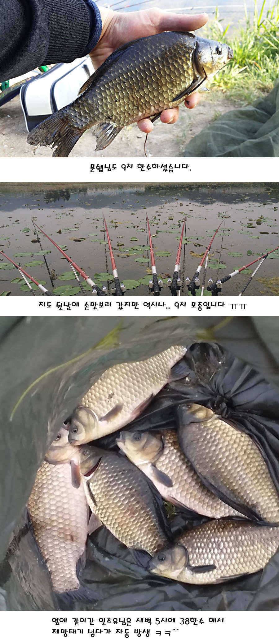 청도권 지난주 조황정보 (조황조행기 - 특파원조황)
