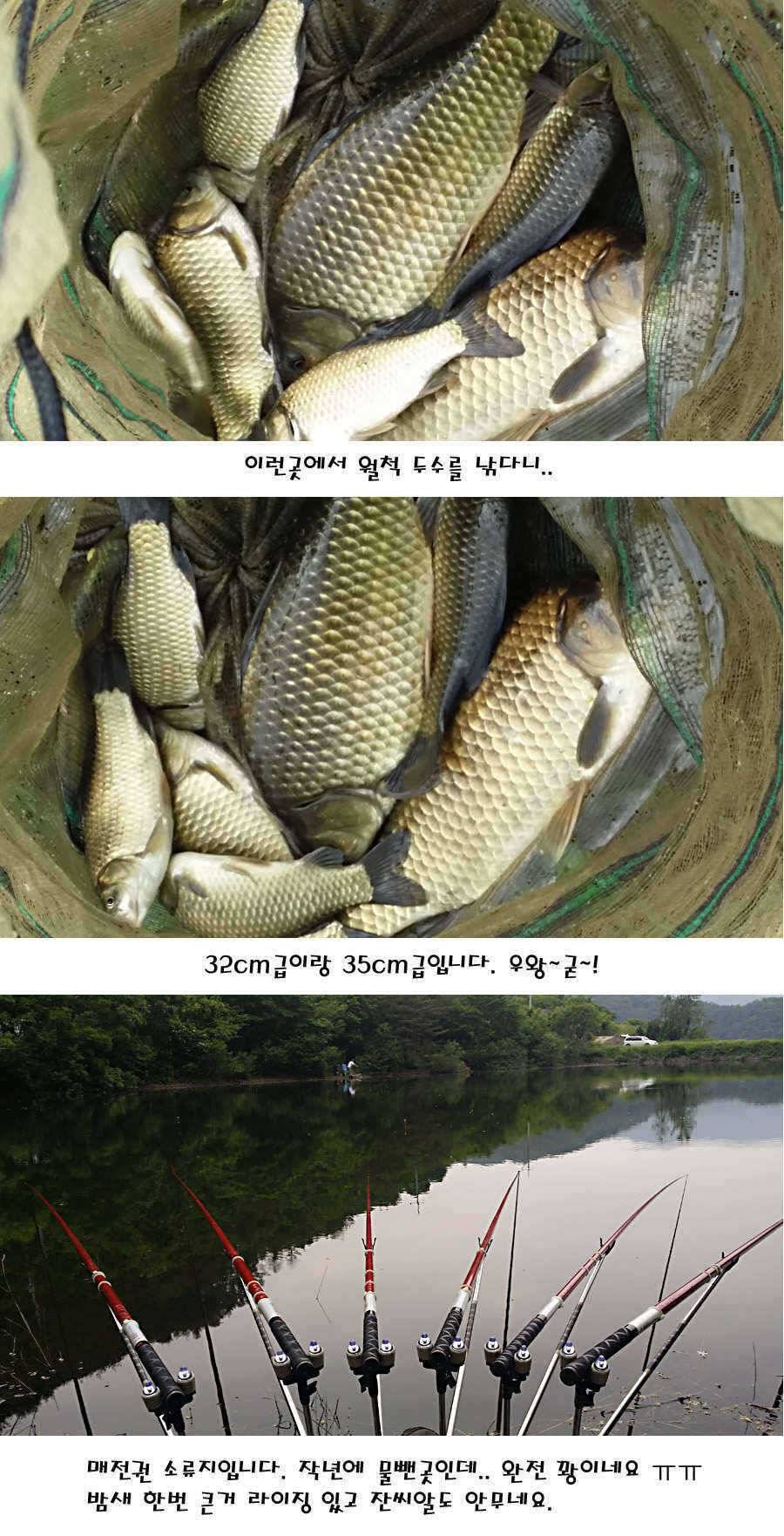 청도권 지난주 조황정보 (조황조행기 - 특파원조황)