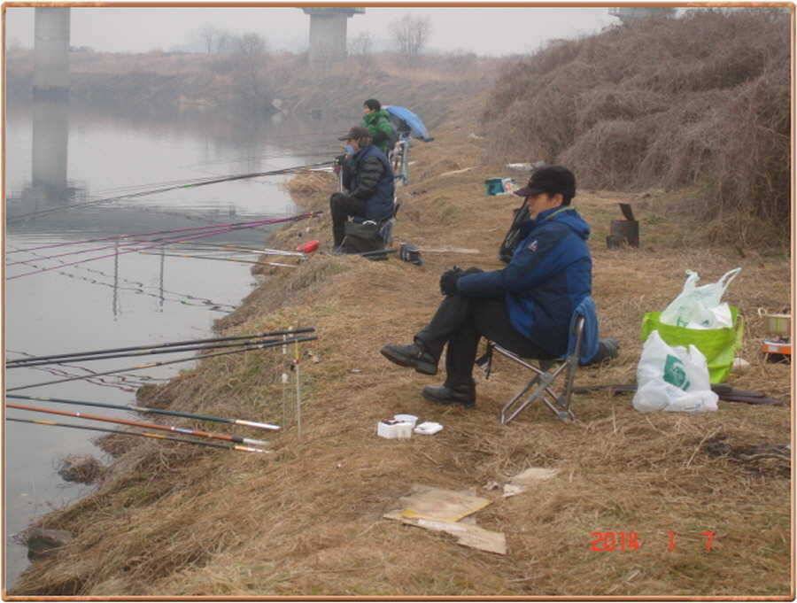 진위천 조황소식 (조황조행기 - 특파원조황)