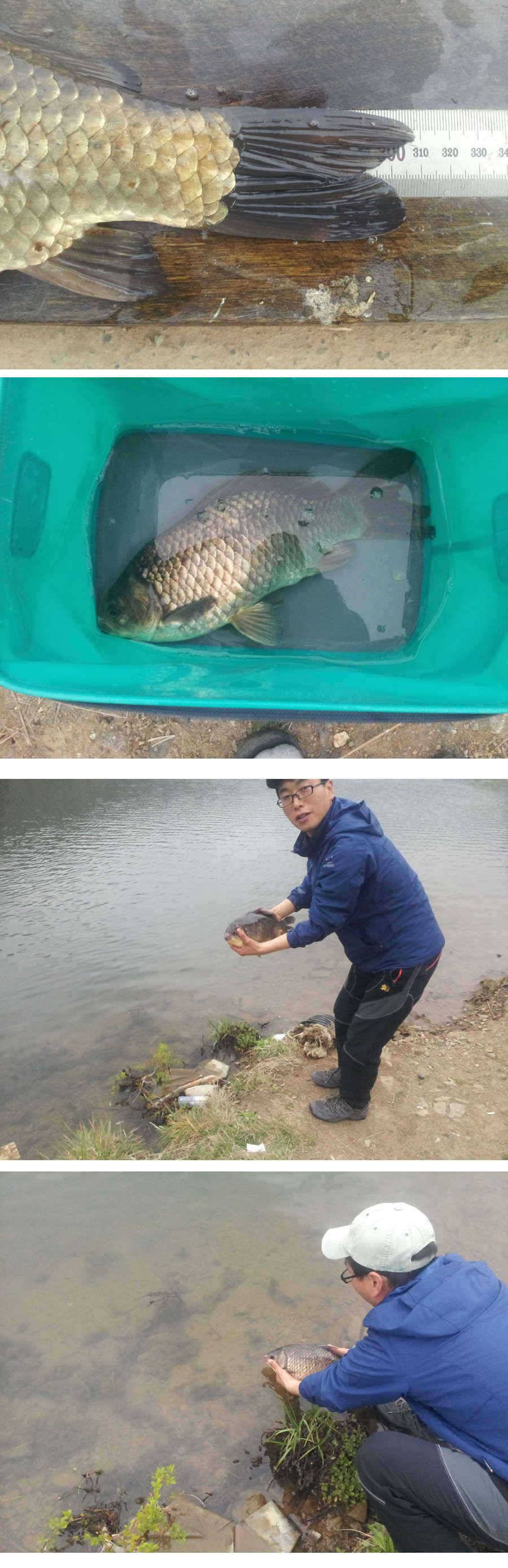 청도권 주중 조황정보 (조황조행기 - 특파원조황)