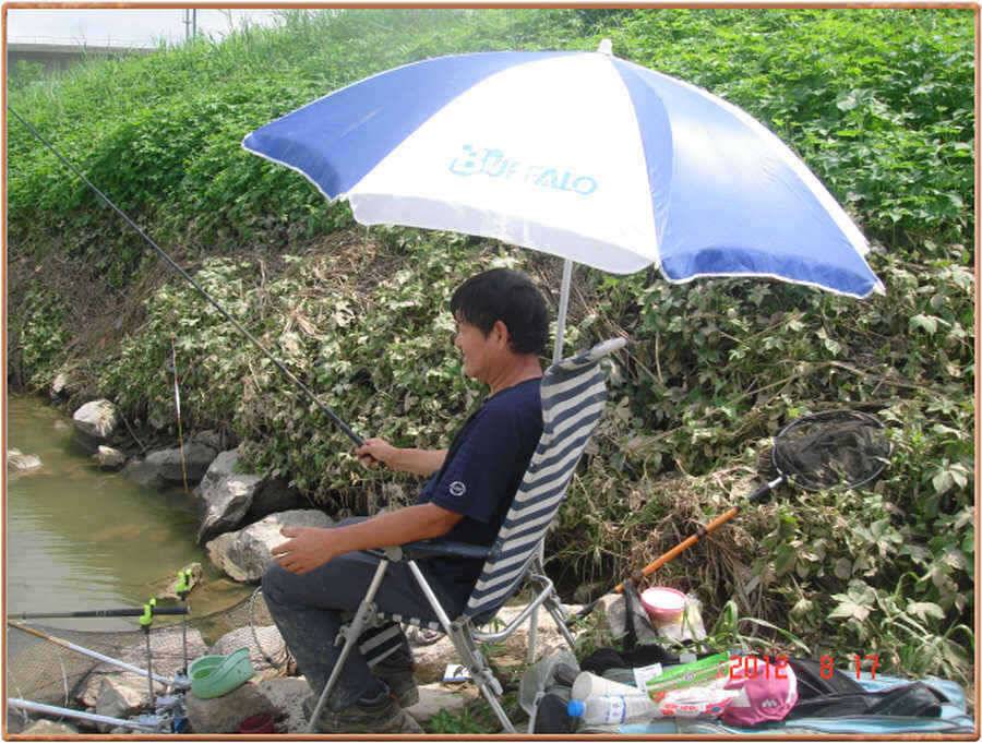 진위천 조황소식 (조황조행기 - 특파원조황)